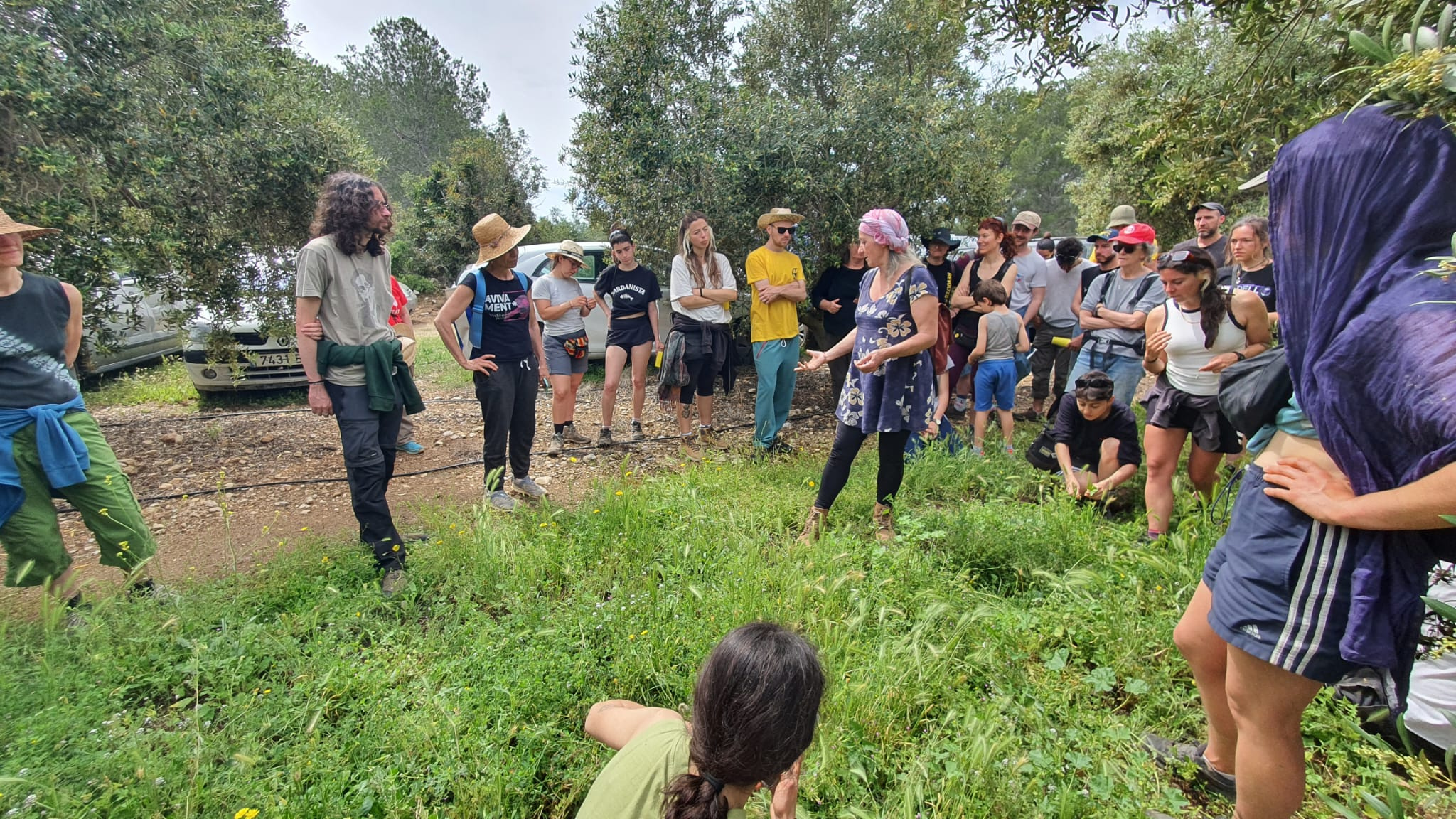 La collita d’herbes remeieres i la seva transformació sostenible per la Viola
