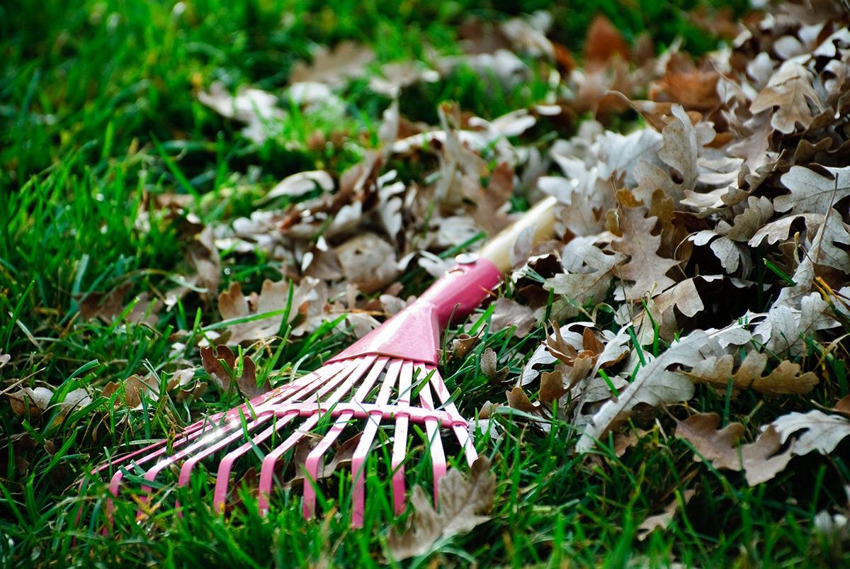 L’energia della comunitat: junts per donar nova vida al terreny en comodat a Tarragona
